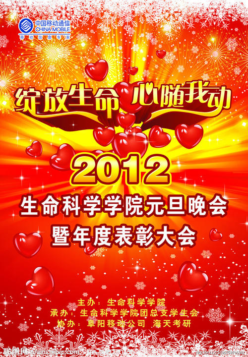 南荷兰音乐学院 International Business Certificate